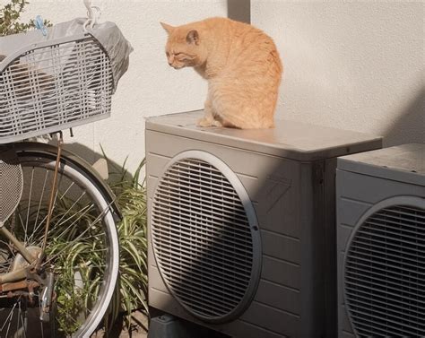Does State Farm Homeowners Cover Heat Pump
